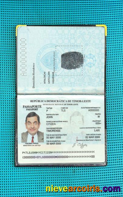 Timor-Leste passport photolook